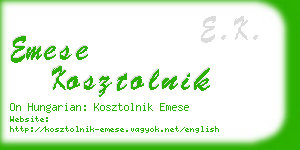 emese kosztolnik business card